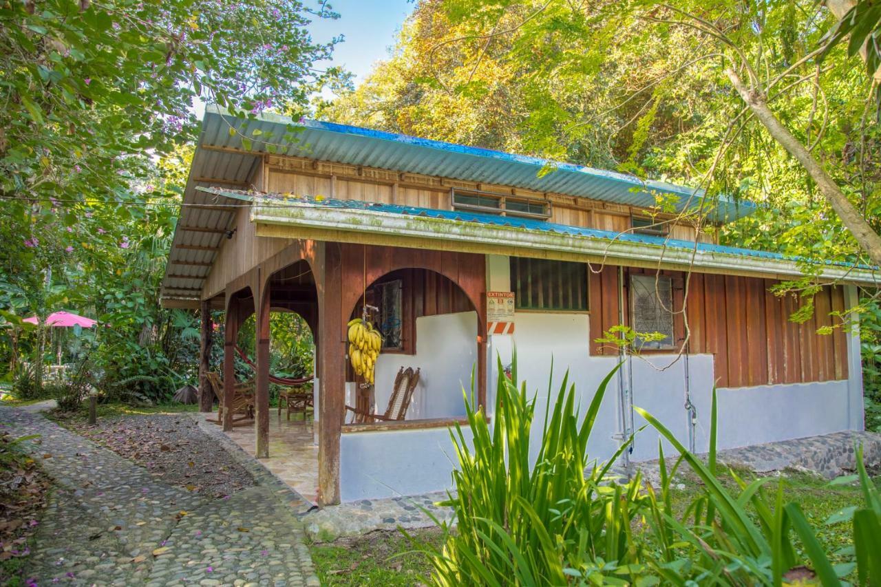 Cabinas Iguana Cahuita Kültér fotó