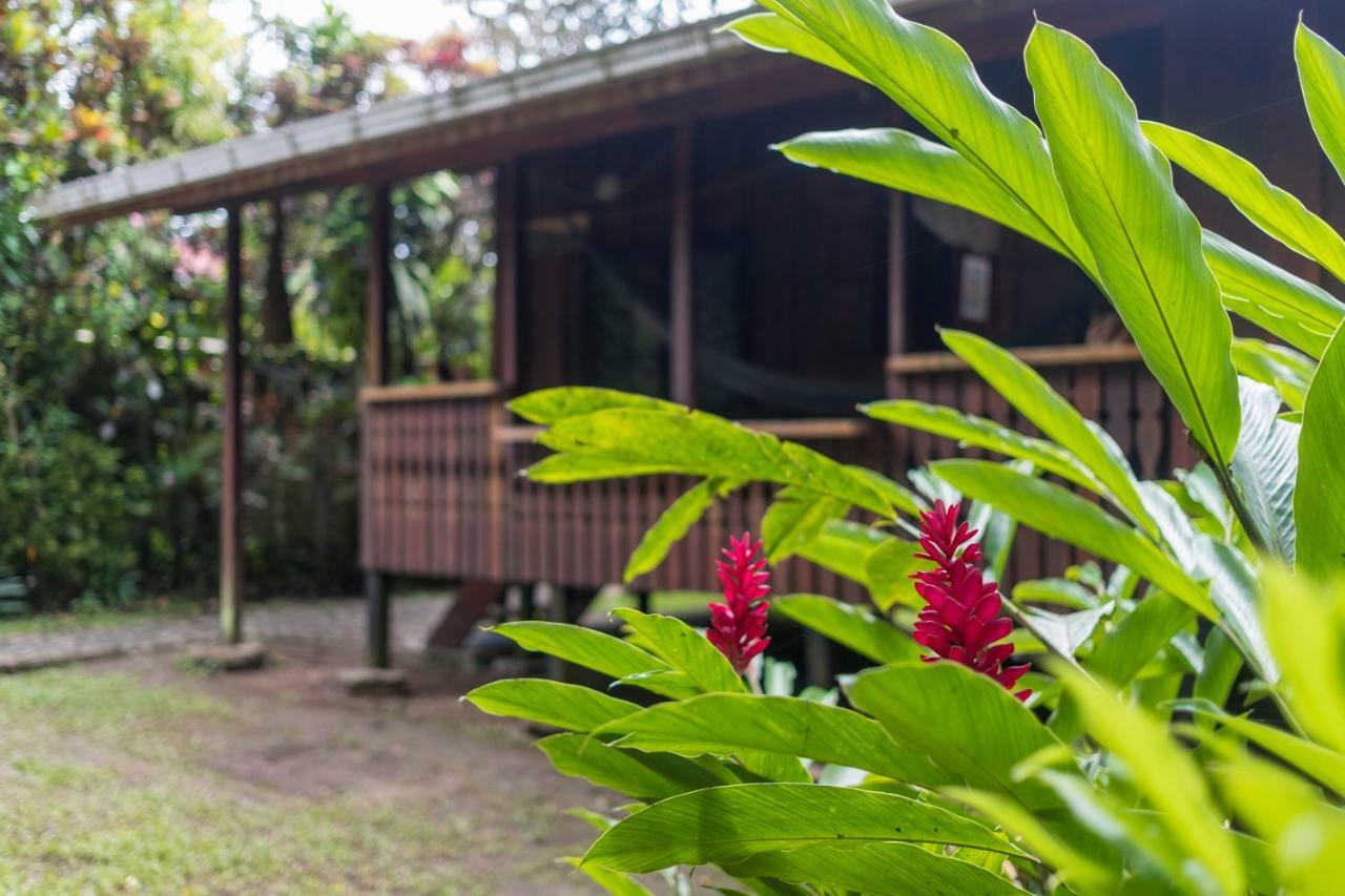 Cabinas Iguana Cahuita Kültér fotó